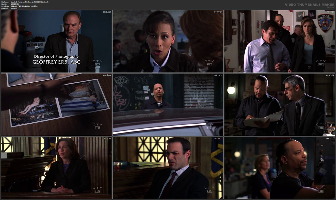 Law & Order Special Victims Unit S07E05 Strain.mkv