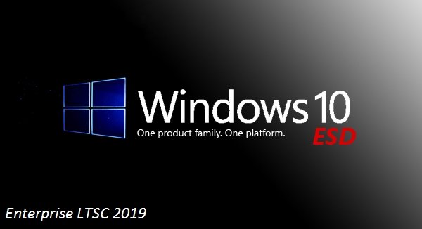 Windows 10 Enterprise LTSC 2019 x64 ESD en-US August 2021