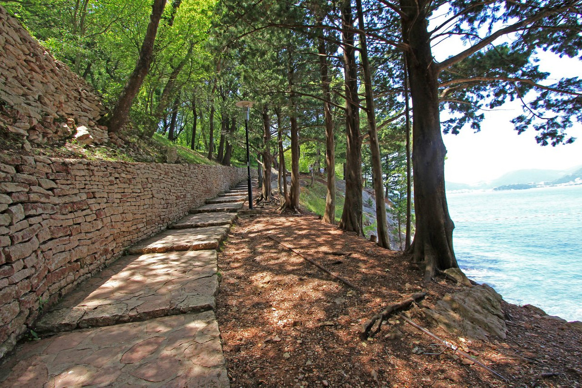IMG_9104а