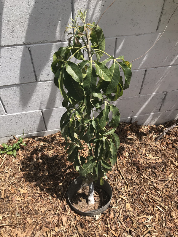 1DE3735E-152C-49EB-BC6D-7FCA7E4F474E