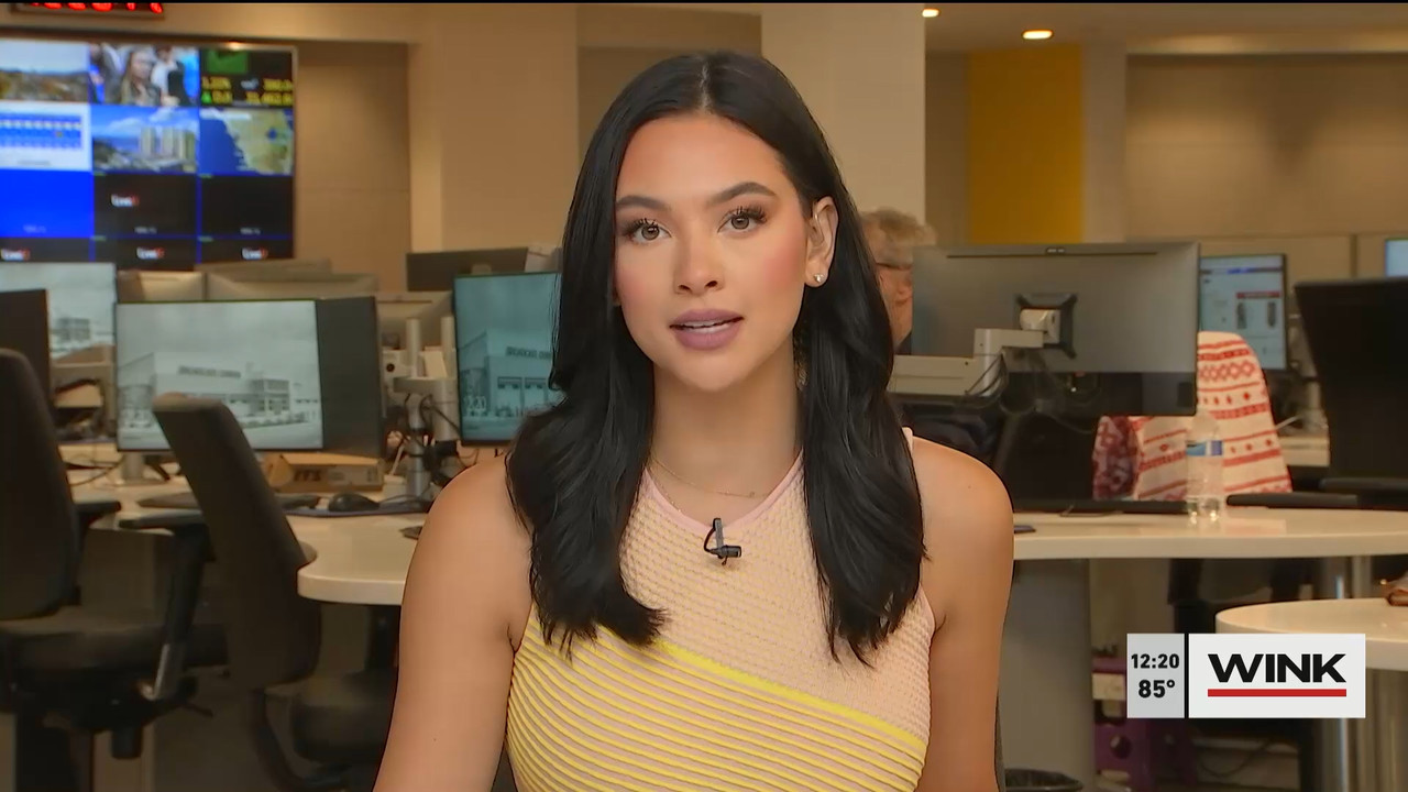 10.24 - 17.00.00 - The WINK Noon News  ᴺᵉʷ. Midday news update..ts_snapshot_27.11.093