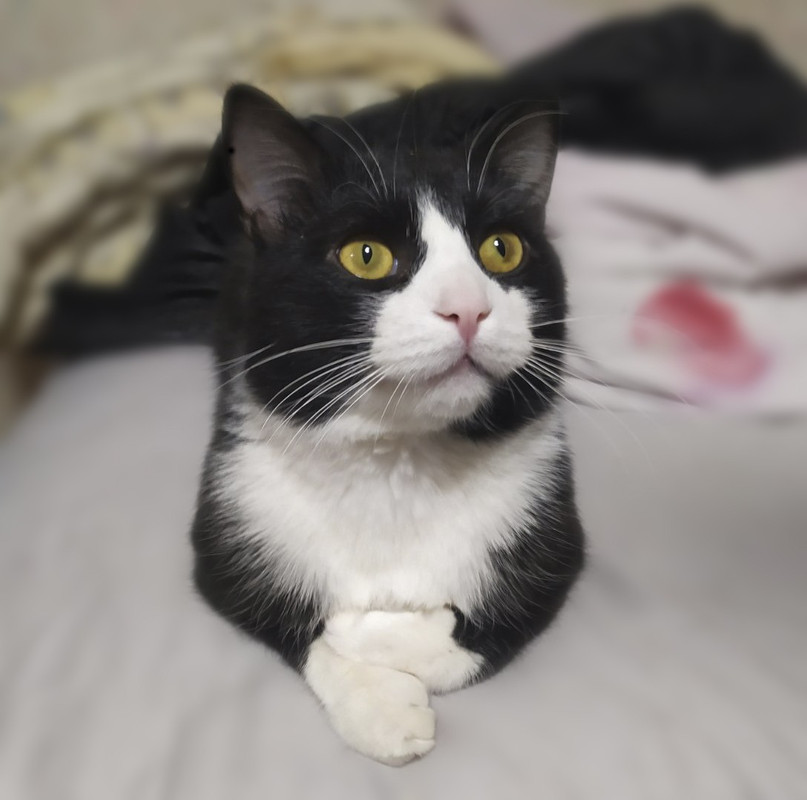 изображение_viber_2021-01-18_15-46-36