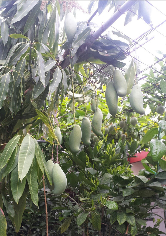 Screenshot_20170128-103540