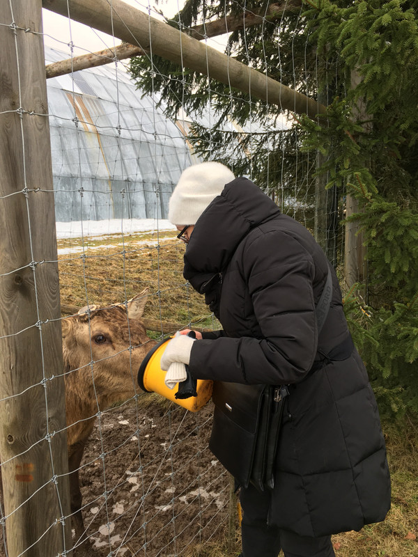 C466D0C4-A868-4DE2-A5F7-423BC0A34D4F