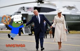pepe-Trump-plane