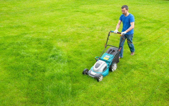 The Step-By-Step Process of Mowing a Lawn