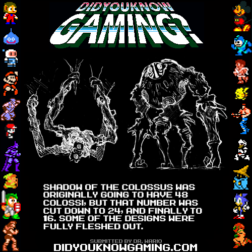 51089ff8b0cf1.png