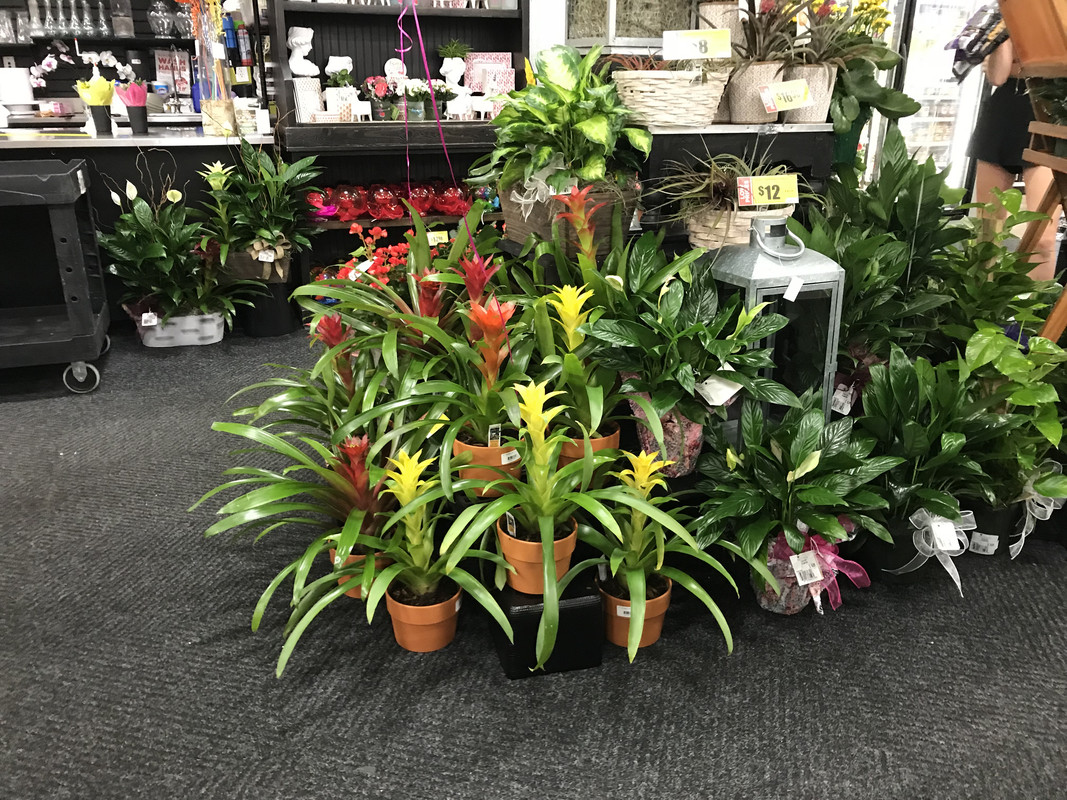 B318EB19-428B-40B2-9D9A-9A839C7E698D