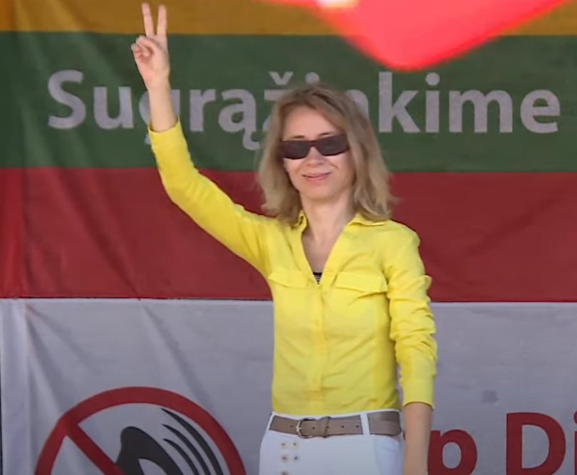 Kaip aš apgyniau trapią Lietuvos demokratiją nuo PuolančioRuso©