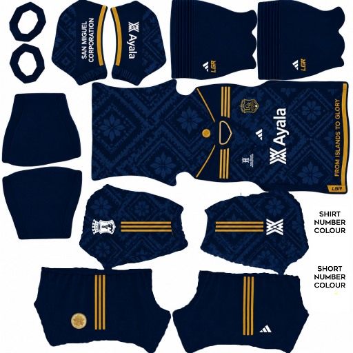 DLS Kit template (1)