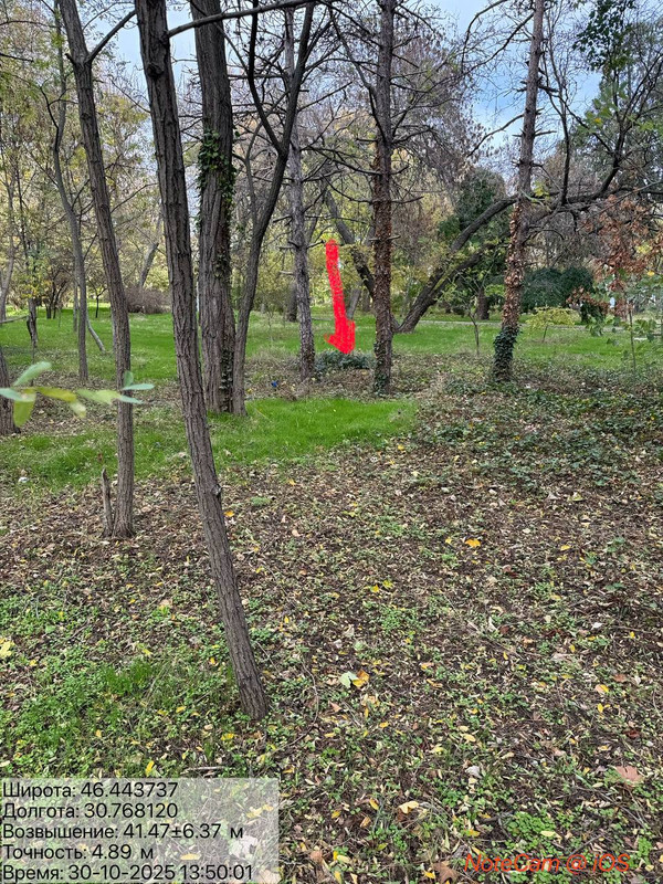 photo 2025 10 30 18 52 27