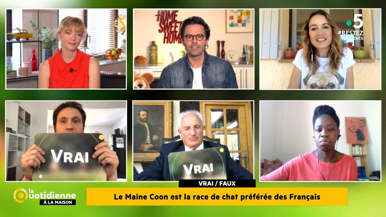 2020-05-27_11_55_Fr5_La-quotidienne.mp4_snapshot_00.18.56.171