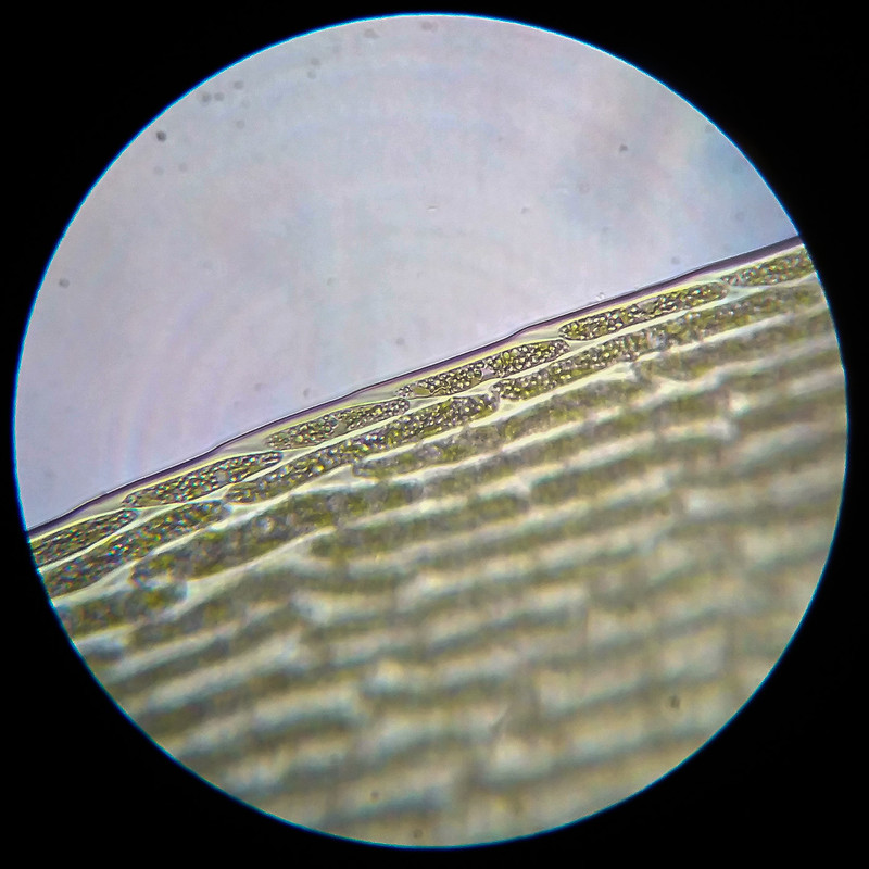 IMG 20250614 111435 HDR