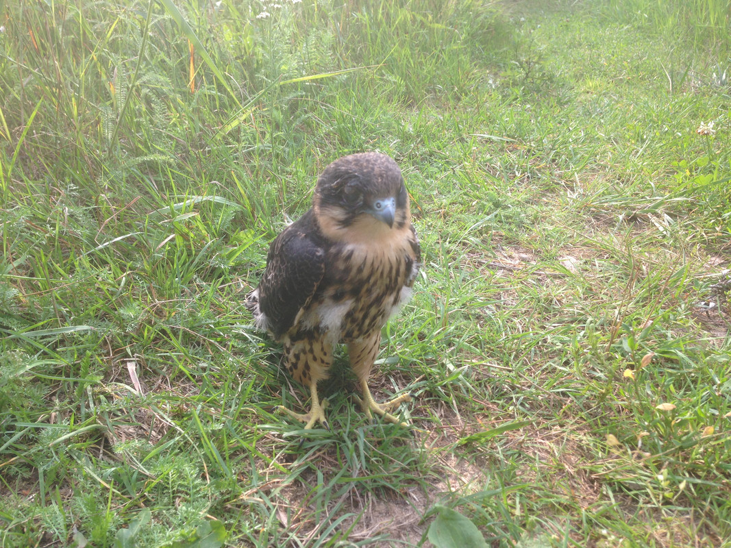 DBAC52B4-3AA3-4D43-BC02-D47F5B9114AC