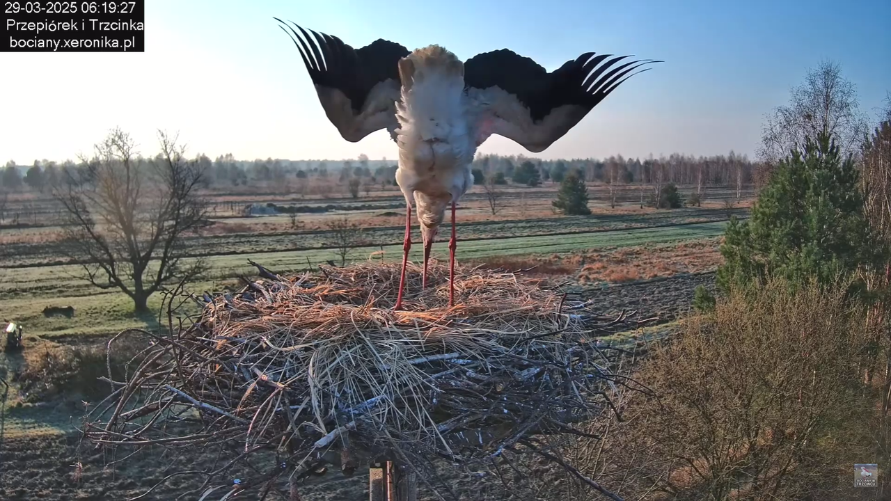 29032025porannezamieszanie_39