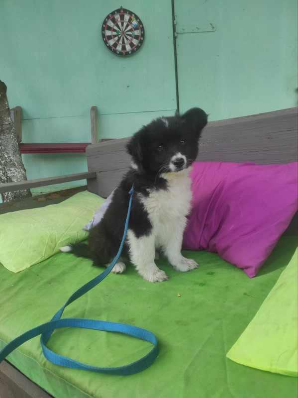 IMG_20230801_220727_456