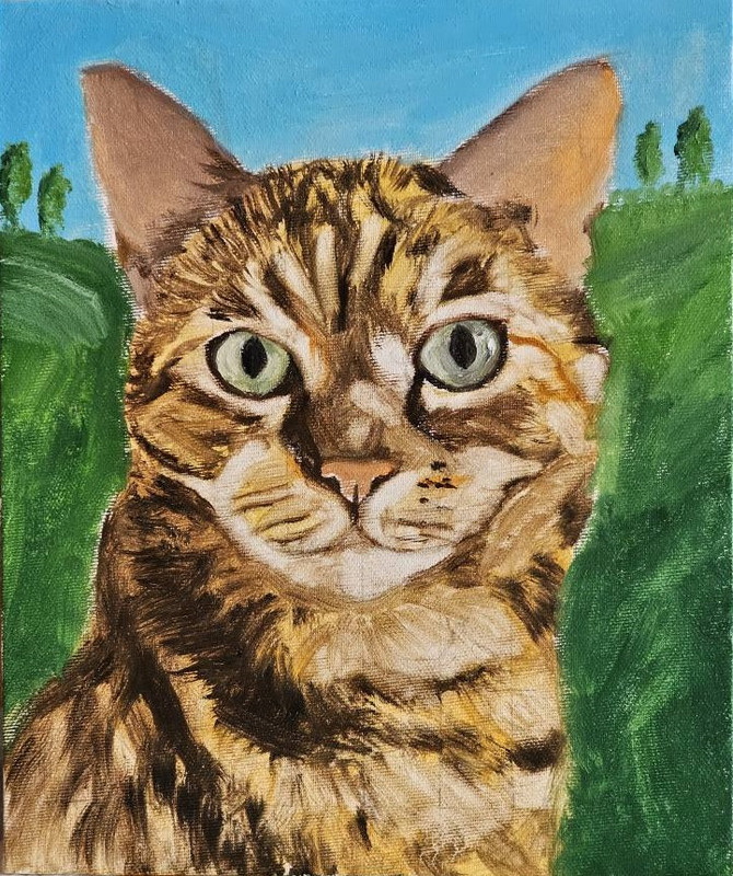 577016714-884618303911837-8188514947649046700-n