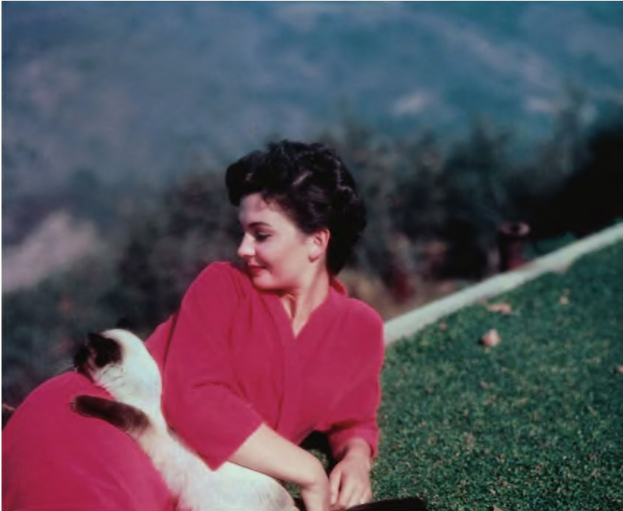Jean-Simmons-(2)