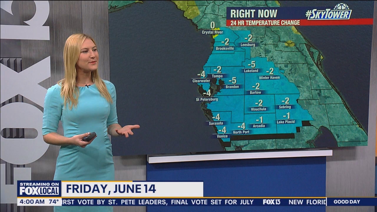 FOX13s Good Day Tampa Bay at 400am_20240614_09000930.ts_snapshot_01.41.545