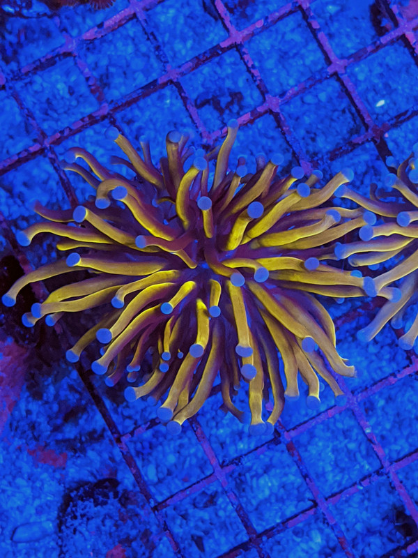 IMG_20200205_190632~2