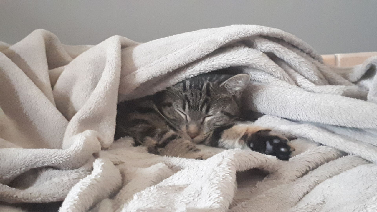 Resized_20220213_162828_6854