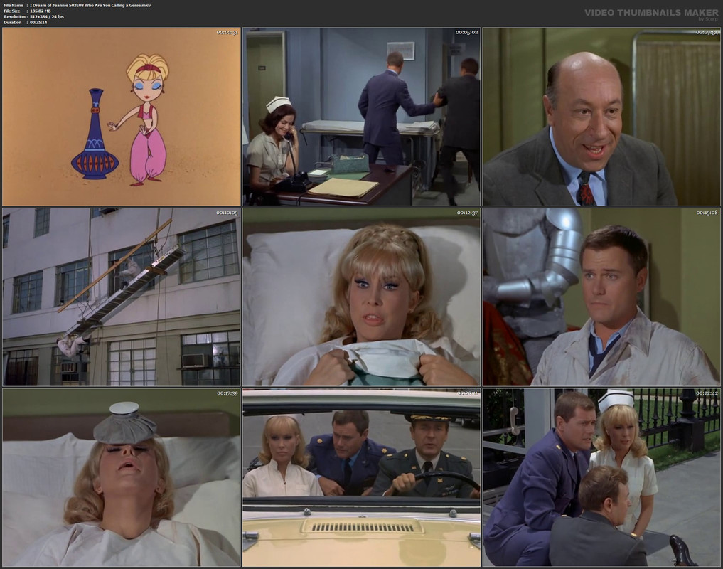 I Dream of Jeannie S03E08 Who Are You Calling a Genie.mkv