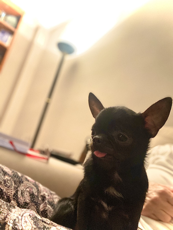 D76FBA0A-0299-457C-ACD7-32FE7CCA0F52