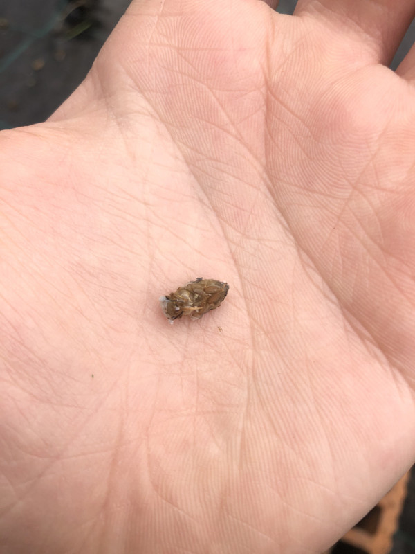 81941A0B-DF97-4081-9EFF-2CD031C609D0