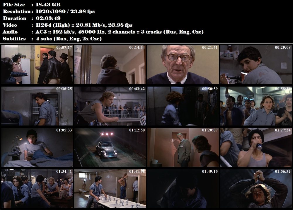 Zlí hoši / Bad Boys (1983)