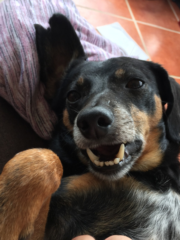 8BE15B78-FFFD-4229-9531-26753831E6ED