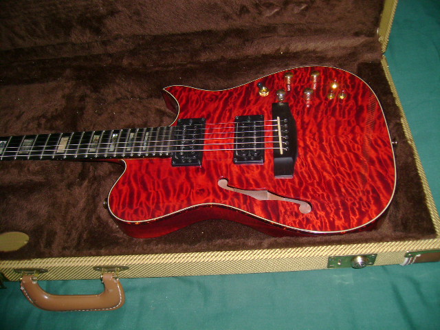 Carvin AE185