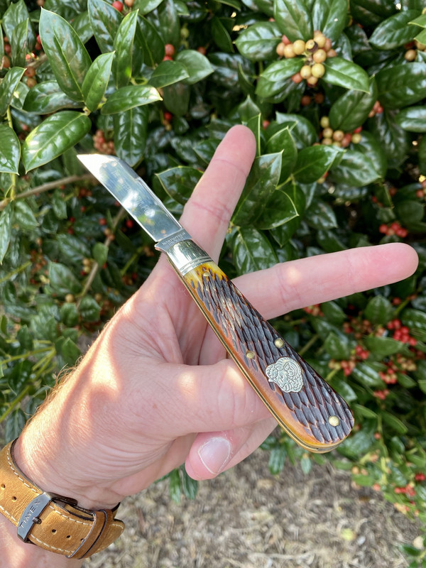 36EFD16F-EE05-4999-969F-13B664CF7DB2