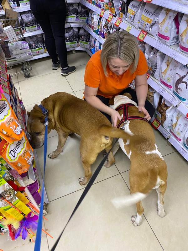 6955CECA-7115-41A5-BAF1-B178D022C97D