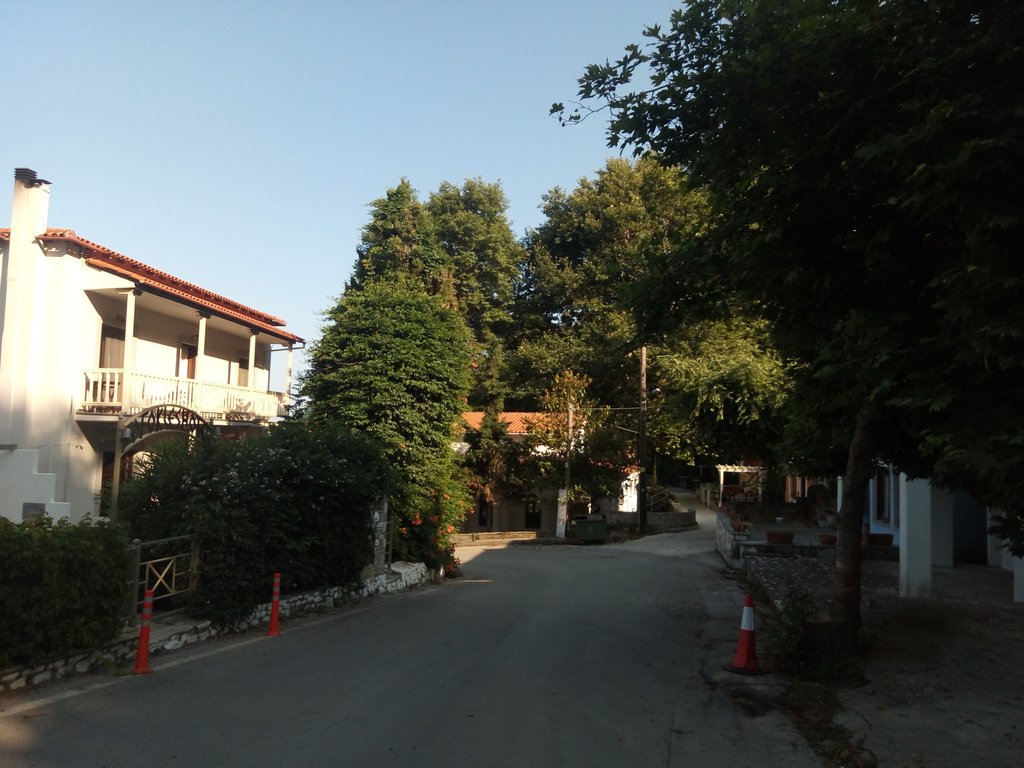 Slika