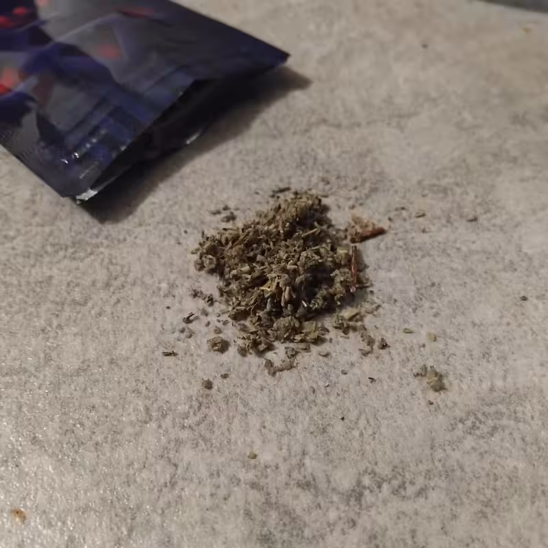 [Obrazek: IMG-20241209-143247.avif]