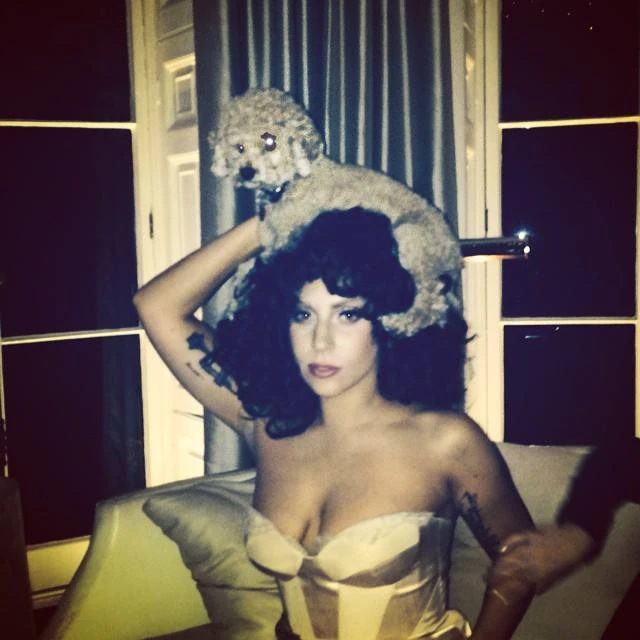 10-16-14-Instagram-001.webp