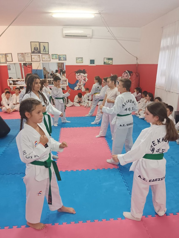 IMG-5c532f1e2abb2510dfd6a3e7cacbade2-V
