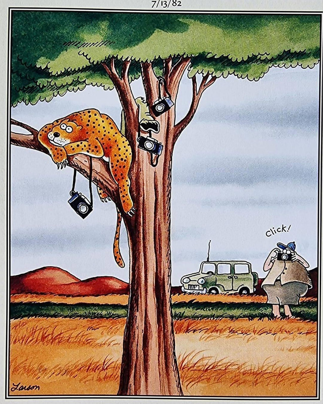 299F5E75-653E-4B8F-8A4D-CE6DFE75BFE4