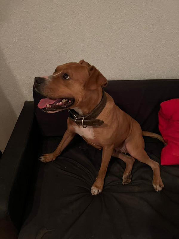 BBC05201-883D-42AE-95F5-67A313D929E9