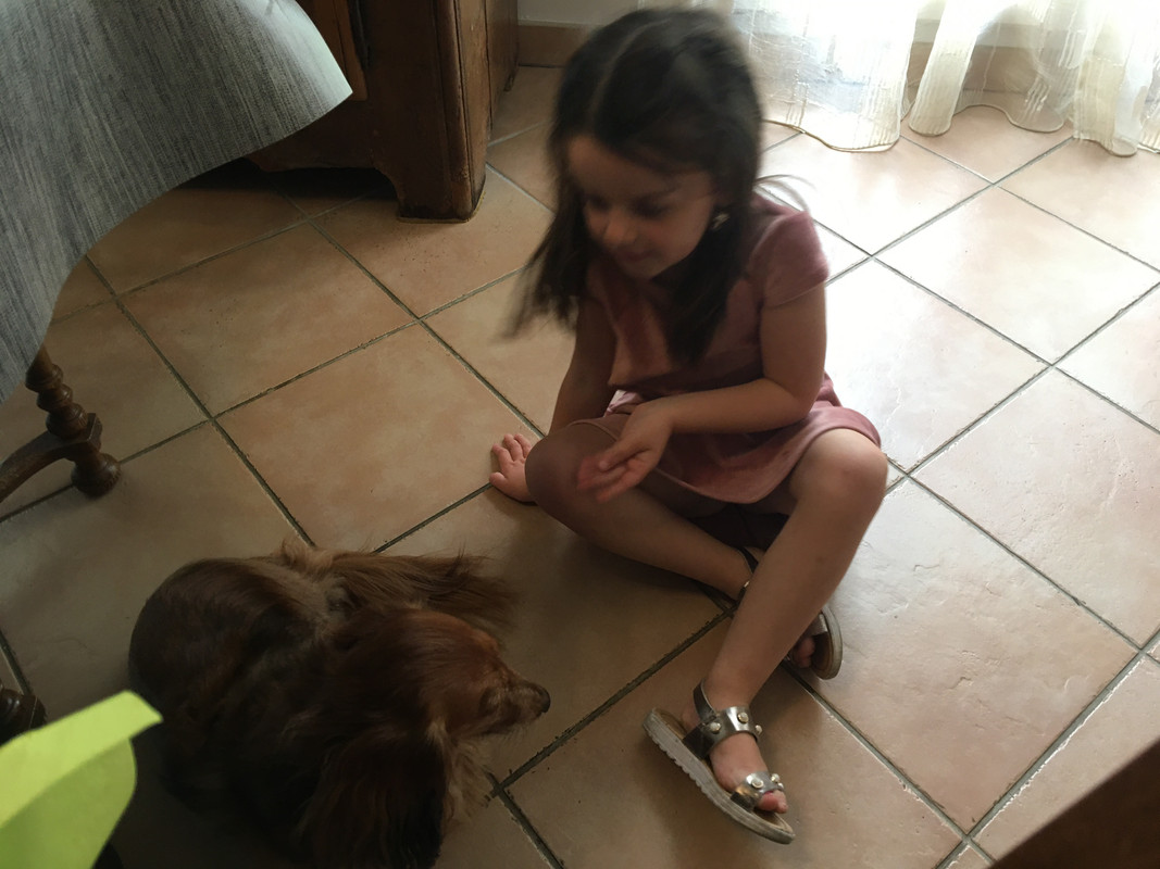 [Image: C3-E99-AD2-E926-4618-B6-F3-492165-BDC8-EB.jpg]