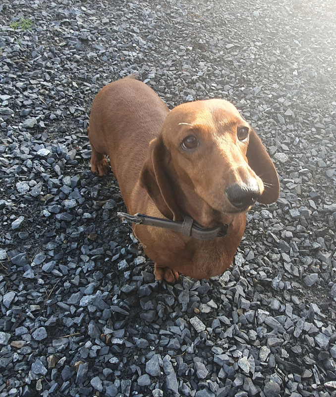 [Image: 20221021-125435.jpg]