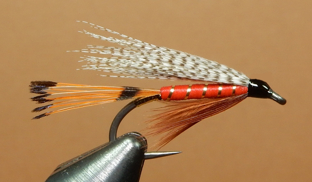 Kingfisher-1080.jpg