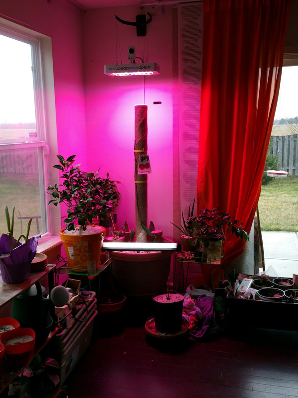 20150403_175017
