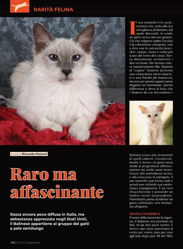 Ga Ma Dic 2021-Gen 2022 (5)