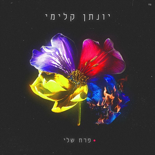 תמונה