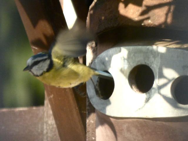 8B015259-7899-47C8-9075-96A18DC5023B