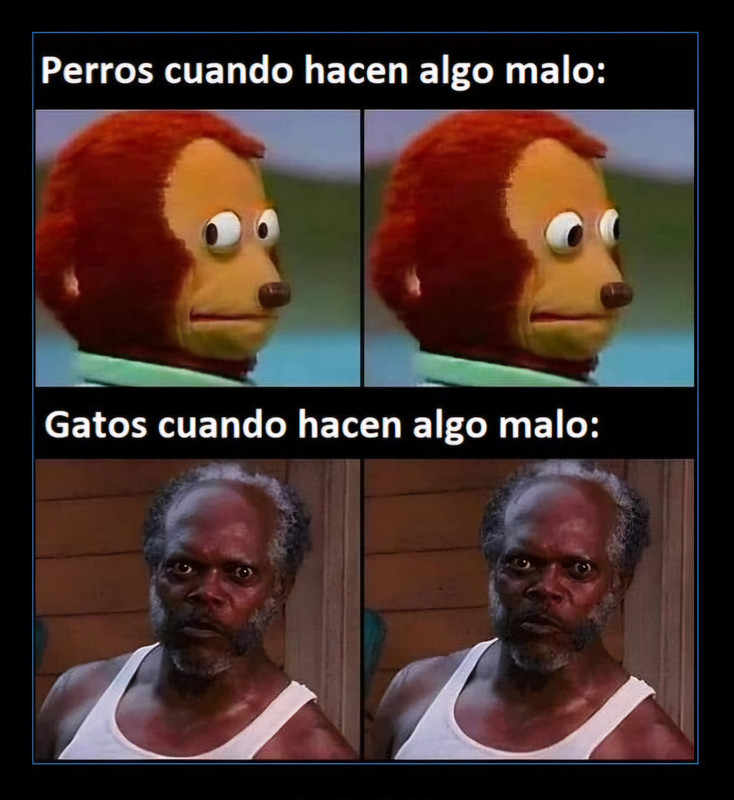 CR-1288684-91c0afdec3594883b0d14b4b072ae