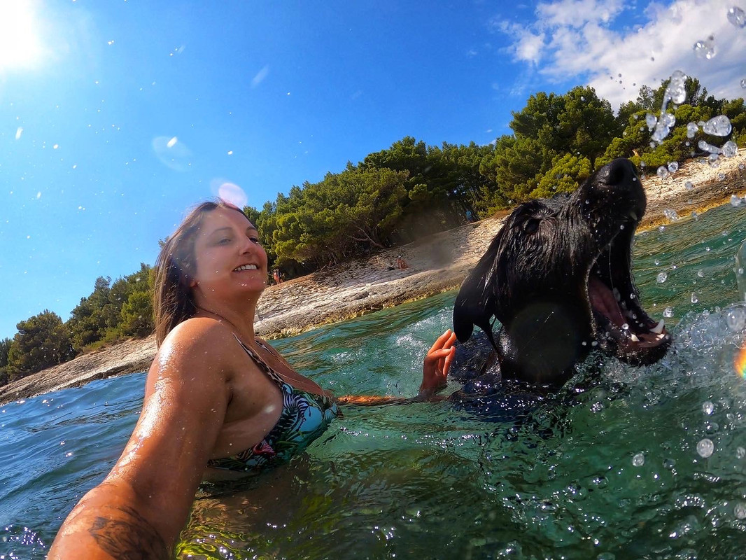 EEC35A43-B056-4BC7-86E3-CF48797BCA88