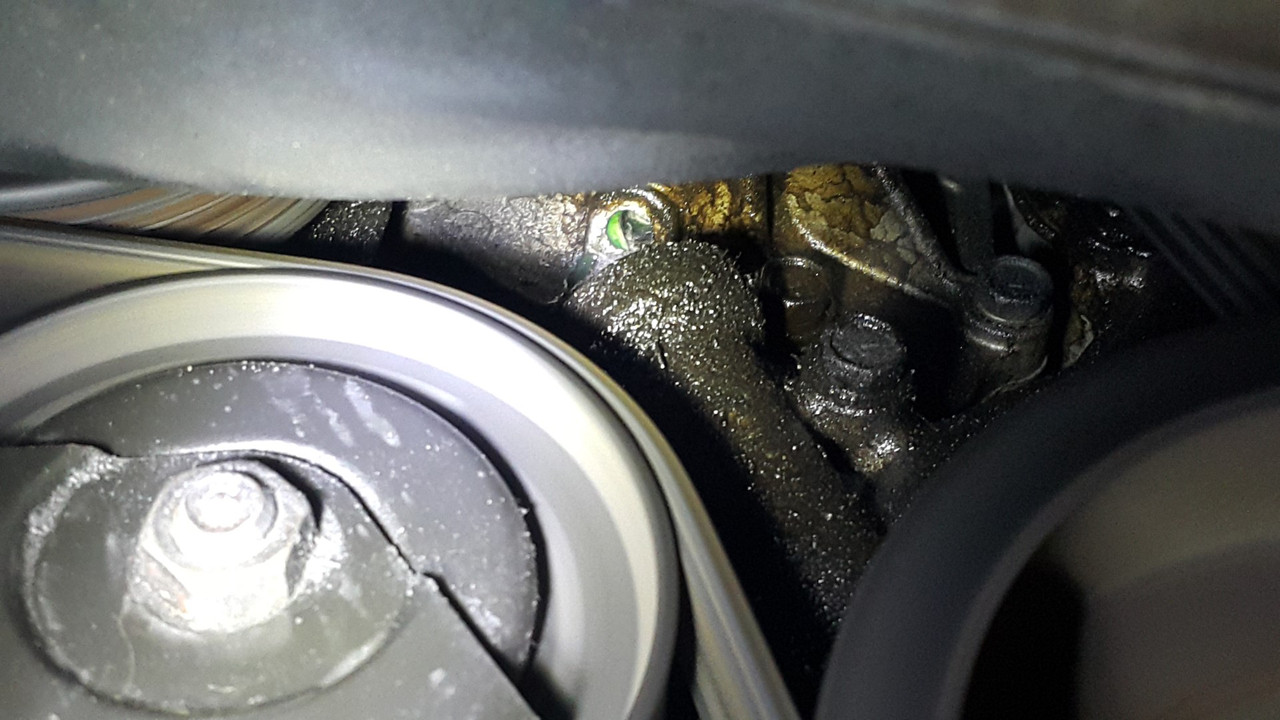 20201119_193513 (Large)