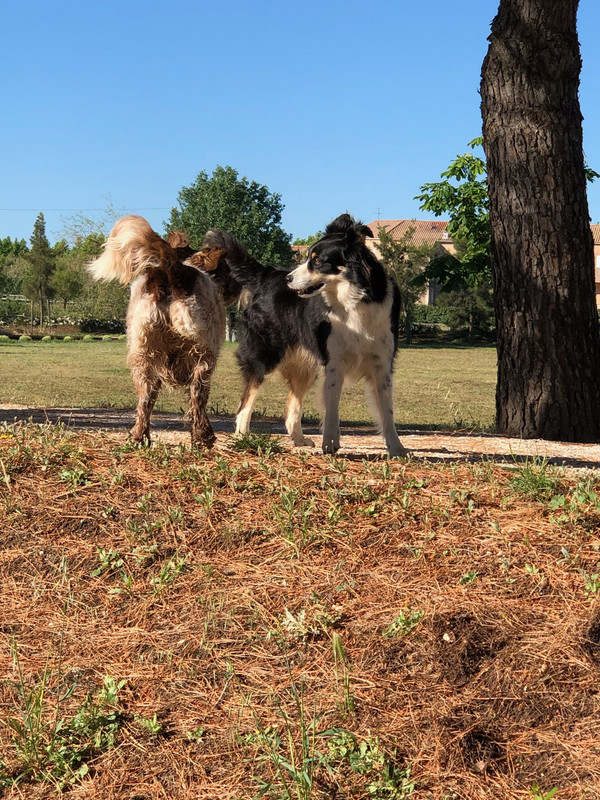 D0DB1B2A-F8E7-4764-8D83-C619D09BC412